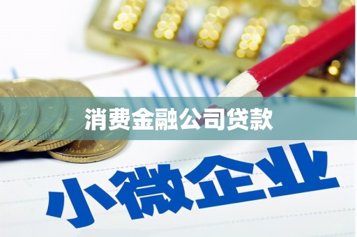竹塘消费金融公司贷款