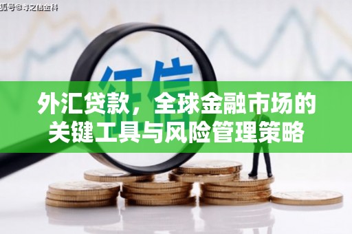 竹塘外汇贷款，全球金融市场的关键工具与风险管理策略