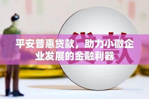竹塘平安普惠贷款，助力小微企业发展的金融利器