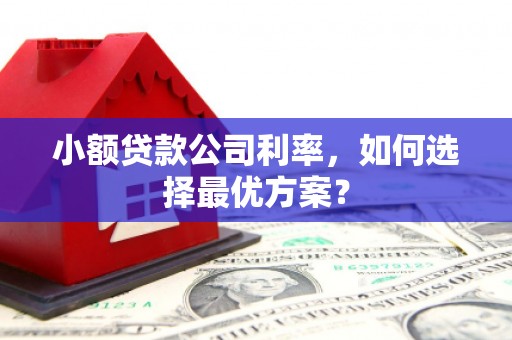 竹塘小额贷款公司利率，如何选择最优方案？