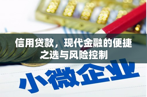 竹塘信用贷款，现代金融的便捷之选与风险控制