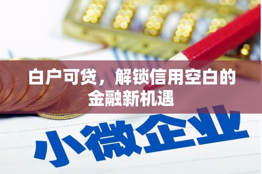 竹塘白户可贷，解锁信用空白的金融新机遇