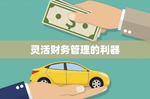竹塘灵活财务管理的利器