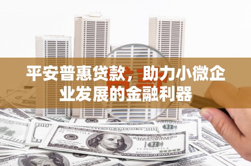 竹塘平安普惠贷款，助力小微企业发展的金融利器