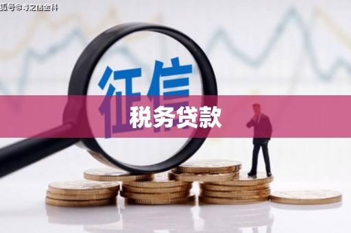竹塘税务贷款