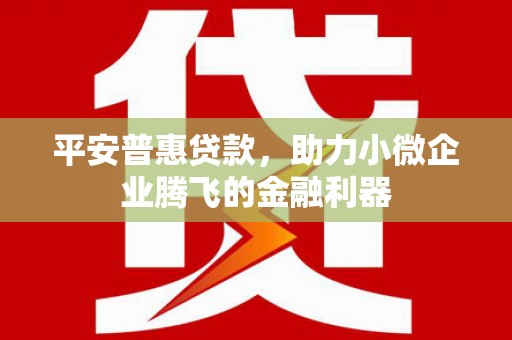 竹塘平安普惠贷款，助力小微企业腾飞的金融利器