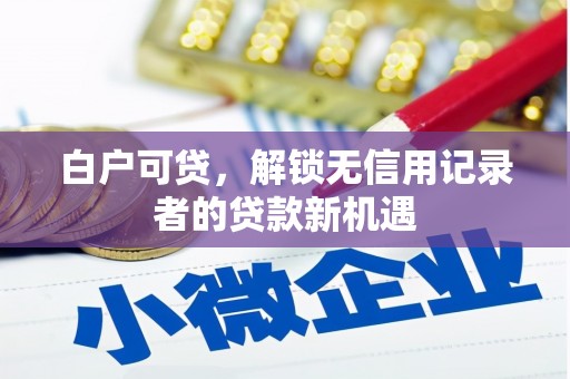 竹塘白户可贷，解锁无信用记录者的贷款新机遇