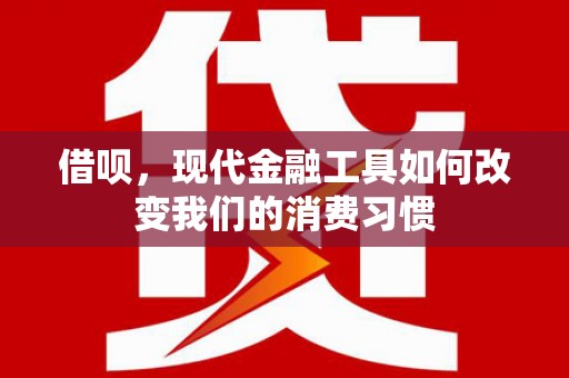 竹塘借呗，现代金融工具如何改变我们的消费习惯