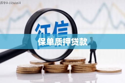 竹塘保单质押贷款