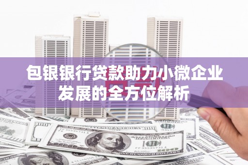 竹塘包银银行贷款助力小微企业发展的全方位解析