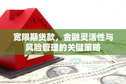 竹塘宽限期贷款，金融灵活性与风险管理的关键策略