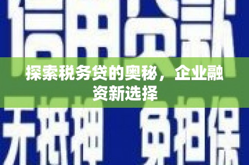 竹塘探索税务贷的奥秘，企业融资新选择
