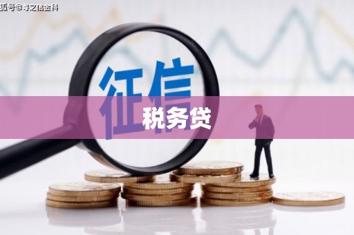 竹塘税务贷