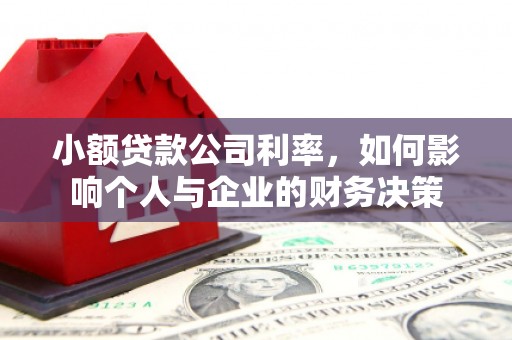 竹塘小额贷款公司利率，如何影响个人与企业的财务决策