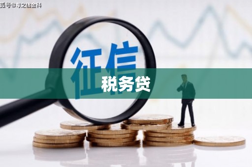 竹塘税务贷