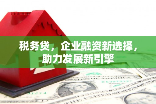 竹塘税务贷，企业融资新选择，助力发展新引擎