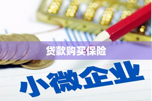 竹塘贷款购买保险
