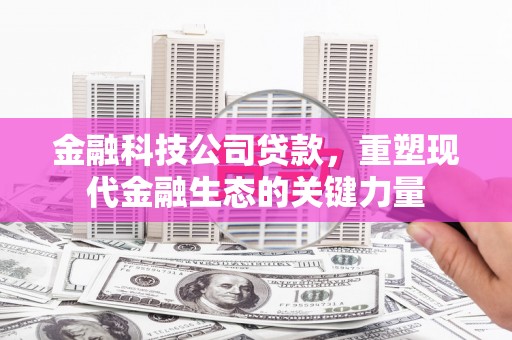 竹塘金融科技公司贷款，重塑现代金融生态的关键力量