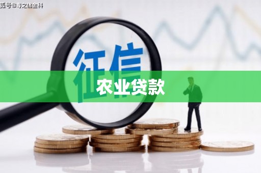 竹塘农业贷款