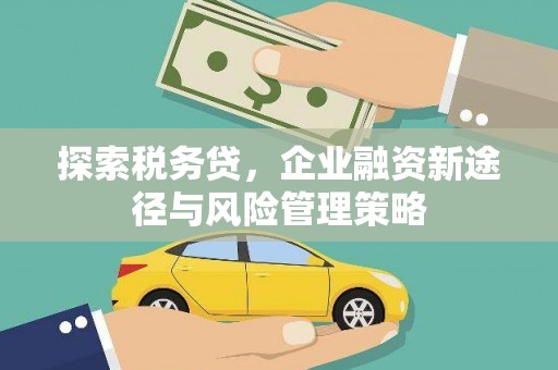 竹塘探索税务贷，企业融资新途径与风险管理策略
