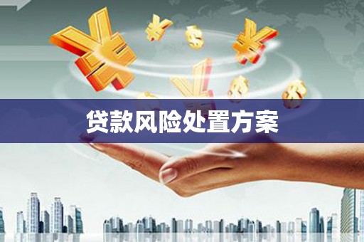 竹塘贷款风险处置方案