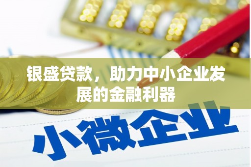 竹塘银盛贷款，助力中小企业发展的金融利器