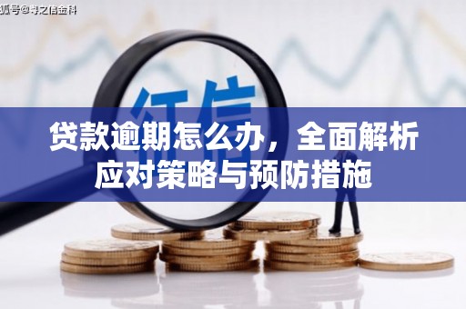 竹塘贷款逾期怎么办，全面解析应对策略与预防措施