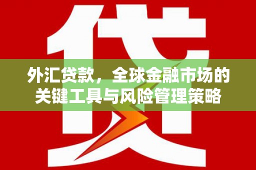竹塘外汇贷款，全球金融市场的关键工具与风险管理策略