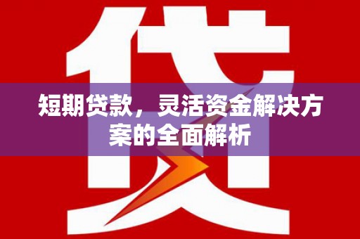 竹塘短期贷款，灵活资金解决方案的全面解析
