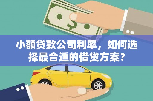 竹塘小额贷款公司利率，如何选择最合适的借贷方案？