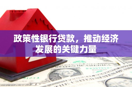 竹塘政策性银行贷款，推动经济发展的关键力量