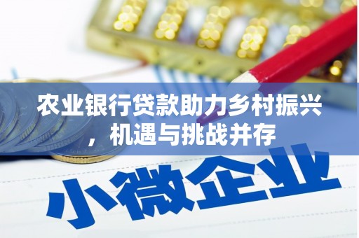 竹塘农业银行贷款助力乡村振兴，机遇与挑战并存