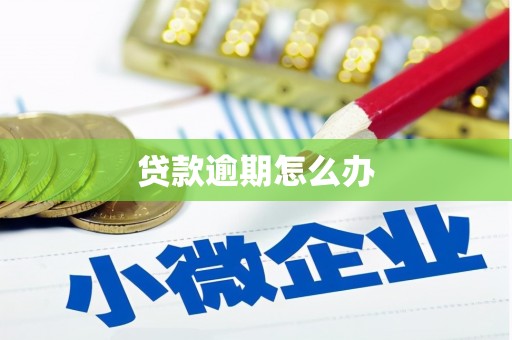 竹塘贷款逾期怎么办