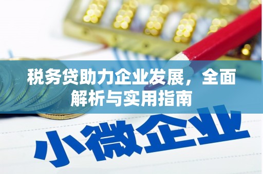 竹塘税务贷助力企业发展，全面解析与实用指南