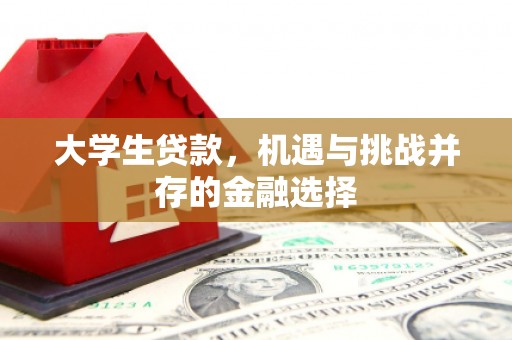竹塘大学生贷款，机遇与挑战并存的金融选择