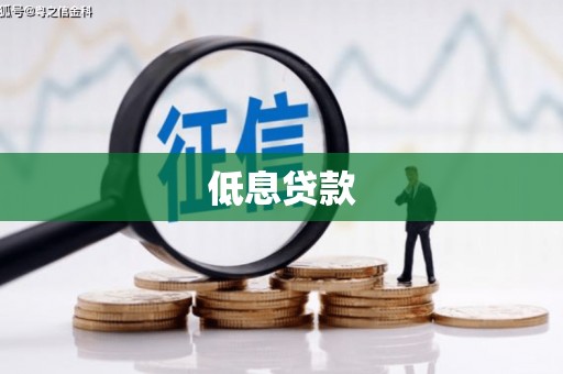 竹塘低息贷款