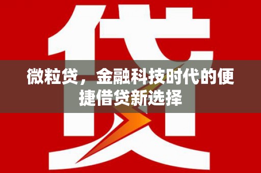 竹塘微粒贷，金融科技时代的便捷借贷新选择