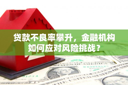 竹塘贷款不良率攀升，金融机构如何应对风险挑战？