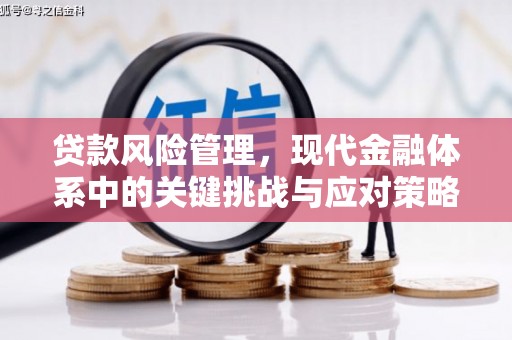 竹塘贷款风险管理，现代金融体系中的关键挑战与应对策略