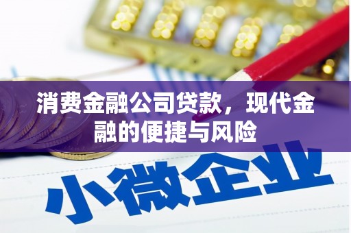 竹塘消费金融公司贷款，现代金融的便捷与风险