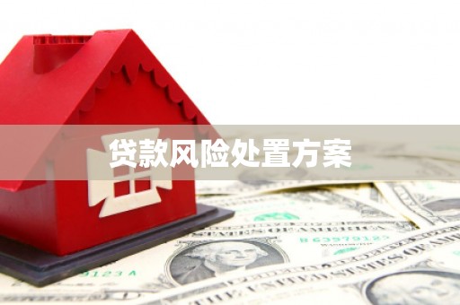 竹塘贷款风险处置方案