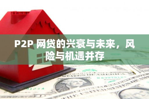 竹塘P2P 网贷的兴衰与未来，风险与机遇并存