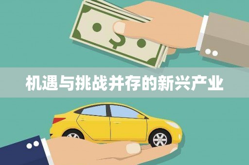 竹塘机遇与挑战并存的新兴产业