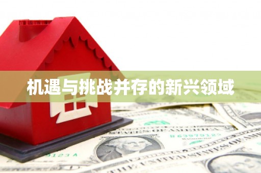 竹塘机遇与挑战并存的新兴领域