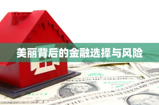 竹塘美丽背后的金融选择与风险